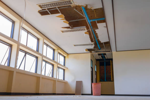 Best Water damage restoration process  in Rio, VA