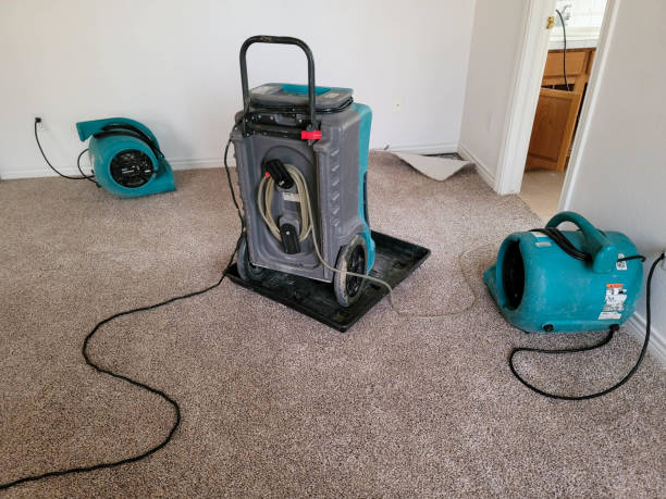 Best Water damage restoration near me  in Rio, VA