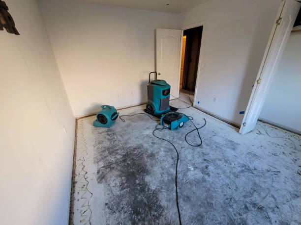 Best Water damage restoration mold remediation  in Rio, VA