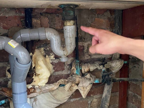 Water damage restoration mold remediation in Rio, VA