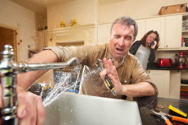 Best Flooded house restoration  in Rio, VA